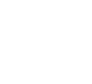 Expédié par avion 24h près la récolte